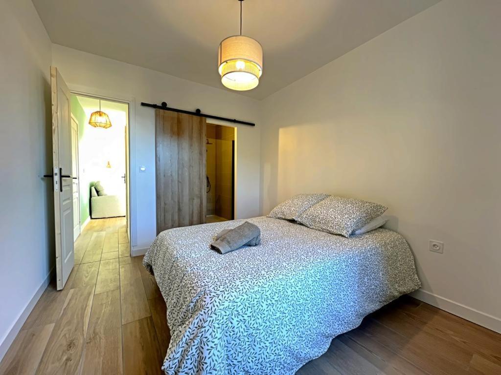 Appartement Coup De Coeur. St Etienne-Rochetaillee サン・テティエンヌ エクステリア 写真