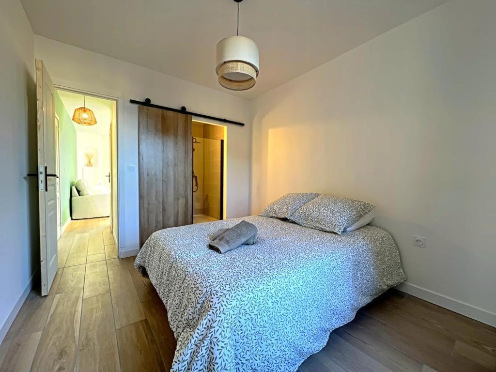 Appartement Coup De Coeur. St Etienne-Rochetaillee サン・テティエンヌ エクステリア 写真