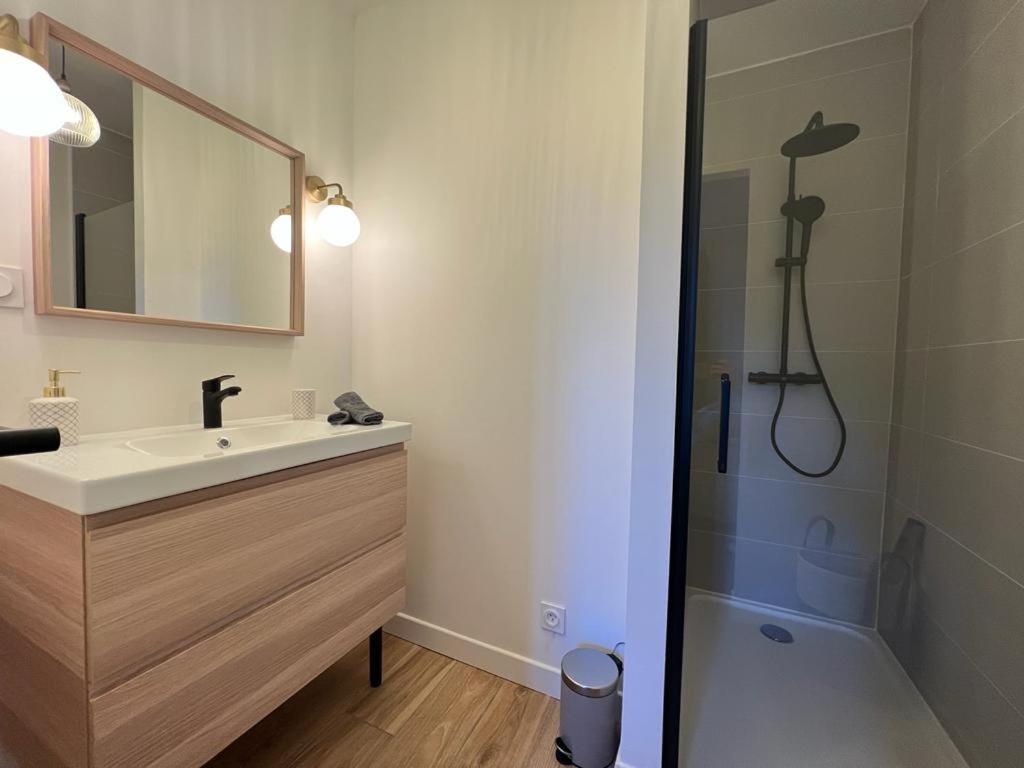 Appartement Coup De Coeur. St Etienne-Rochetaillee サン・テティエンヌ エクステリア 写真