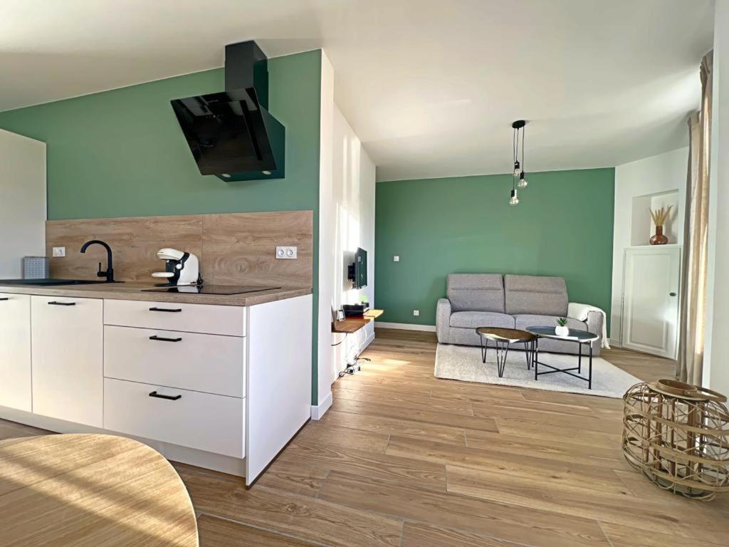Appartement Coup De Coeur. St Etienne-Rochetaillee サン・テティエンヌ エクステリア 写真